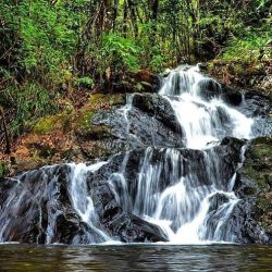 Cachoeira - Verde Folhas